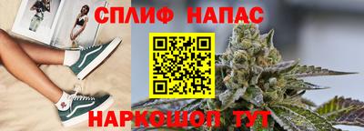 СК Ачхой-Мартан