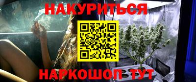 мяу мяу мука Баксан