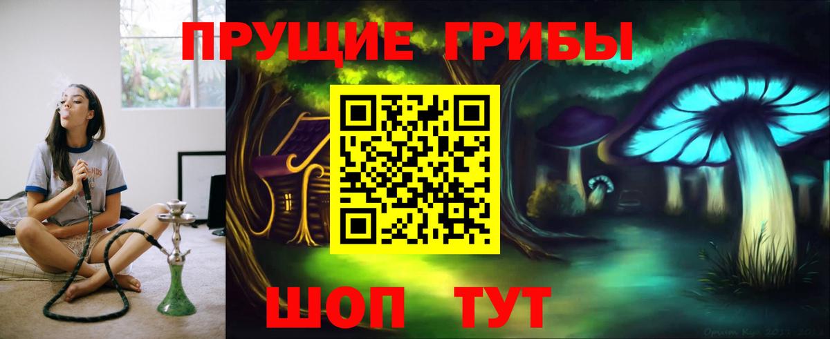 Аргун  Псилоцибиновые грибы ЛСД  Вход с VPN 